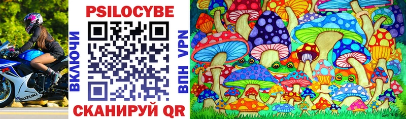 kraken онион  Гай  Галлюциногенные грибы Magic Shrooms 